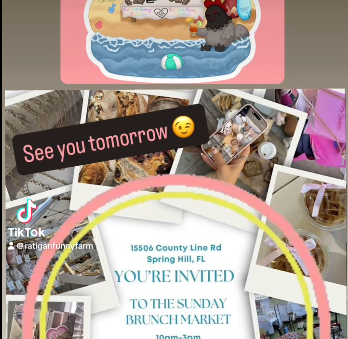 Sunday Brunch Market 5/31! 💖 #RatiganFunnyFarm #NotYourAverage #NaturalWellness #ditchandswitch