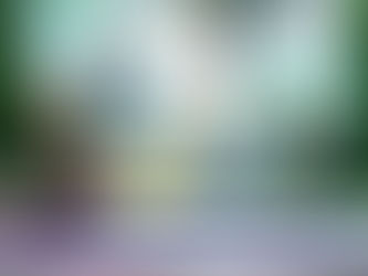 TELEVİZYON PROGRAMI