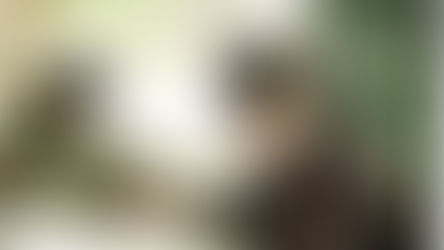 Atatürkçülük, İslam ve Milliyetçilik