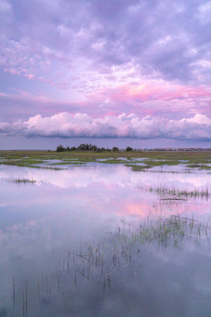 Wrightsville Beach Shell Island Marsh Photography Coast Beach