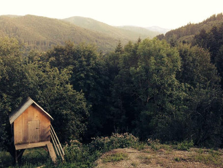 Easy Weight Loss Secrets: The All-Natural Truth Revealed