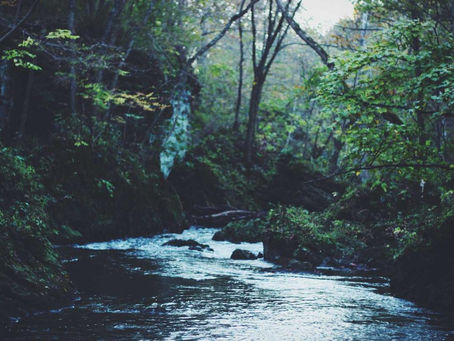 Stop the Meds: The Truth About Real Fat Burning