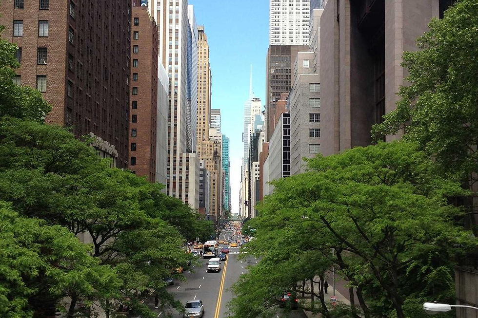 meal prep healthy cooking salmon vegetables