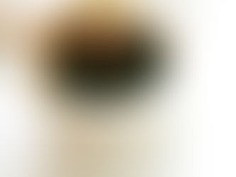 Stuck at a Weight Loss Plateau? Here is the Brutal Truth.