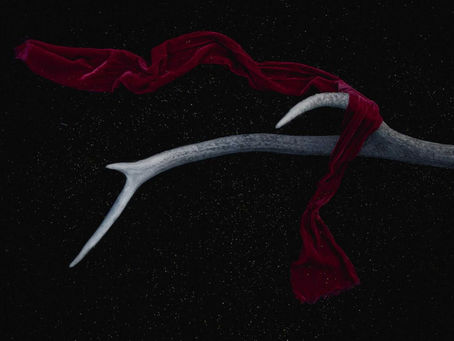 The Brutal Truth: Why 2026 is the Year of Natural Weight Loss