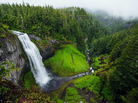 The Deadly Truth About Weight Loss Pills You Need To Hear