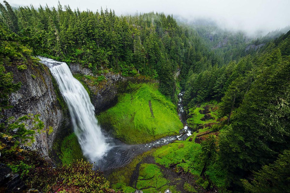 group of diverse people hiking outdoors nature fitness