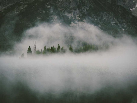 The Brutal Truth About Weight Loss in 2026: No More Lies