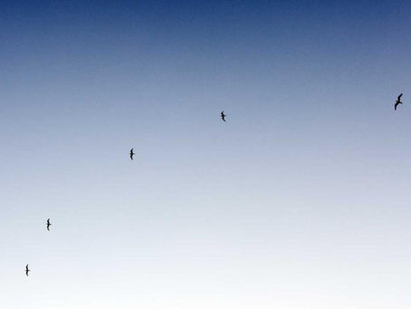 The Truth About 2026 Weight Loss: Why Nature is Winning