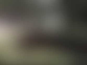 Easy Weight Loss Secrets: The All-Natural Truth Revealed