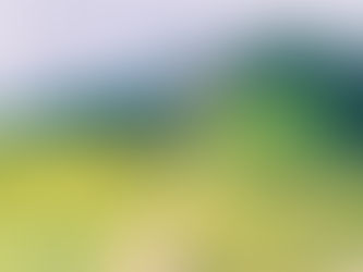 Stop Starving: 10 Superfoods That Melt Fat Naturally