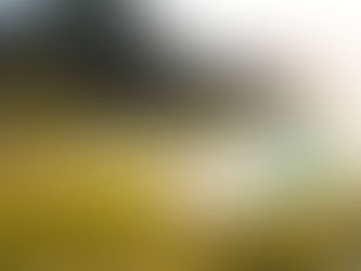 Stop Eating 6 Meals a Day: The Truth About Weight Loss