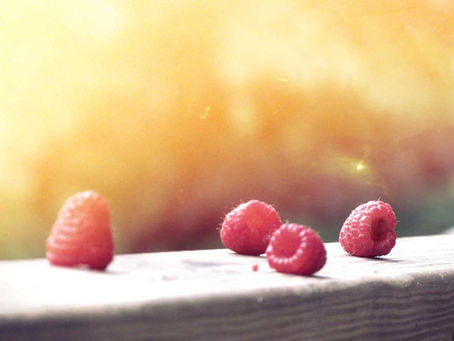 Stop Starving: The Raw Truth About Real Weight Loss