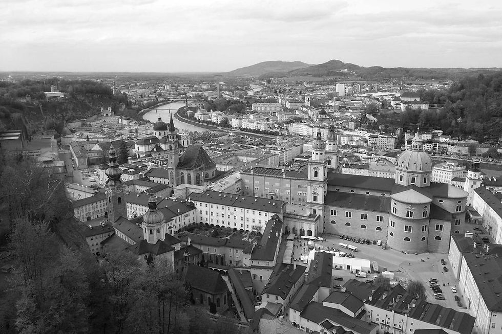 farmers market fresh produce organic shopping
