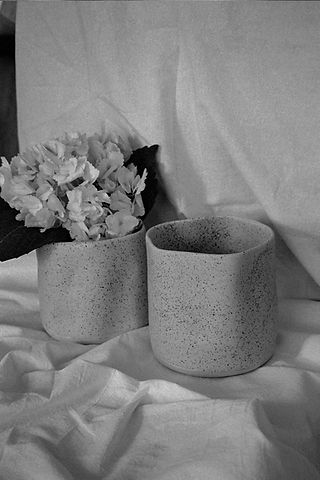 __6_0967.jpg