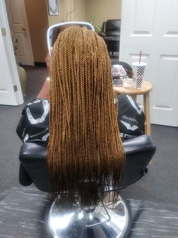 blonde braids (back)