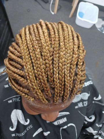 blonde braids (front)
