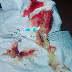 Womb Healing Vaginal Pearls