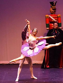 Cascanueces 2 2014.jpeg