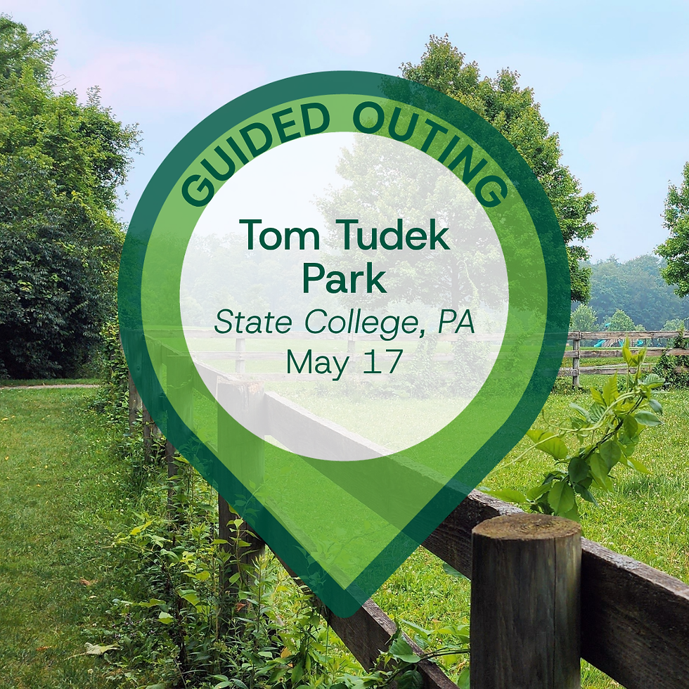 Tudek Park: Guided Outing