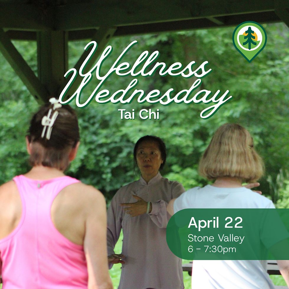 Wellness Wednesday: Tai Chi