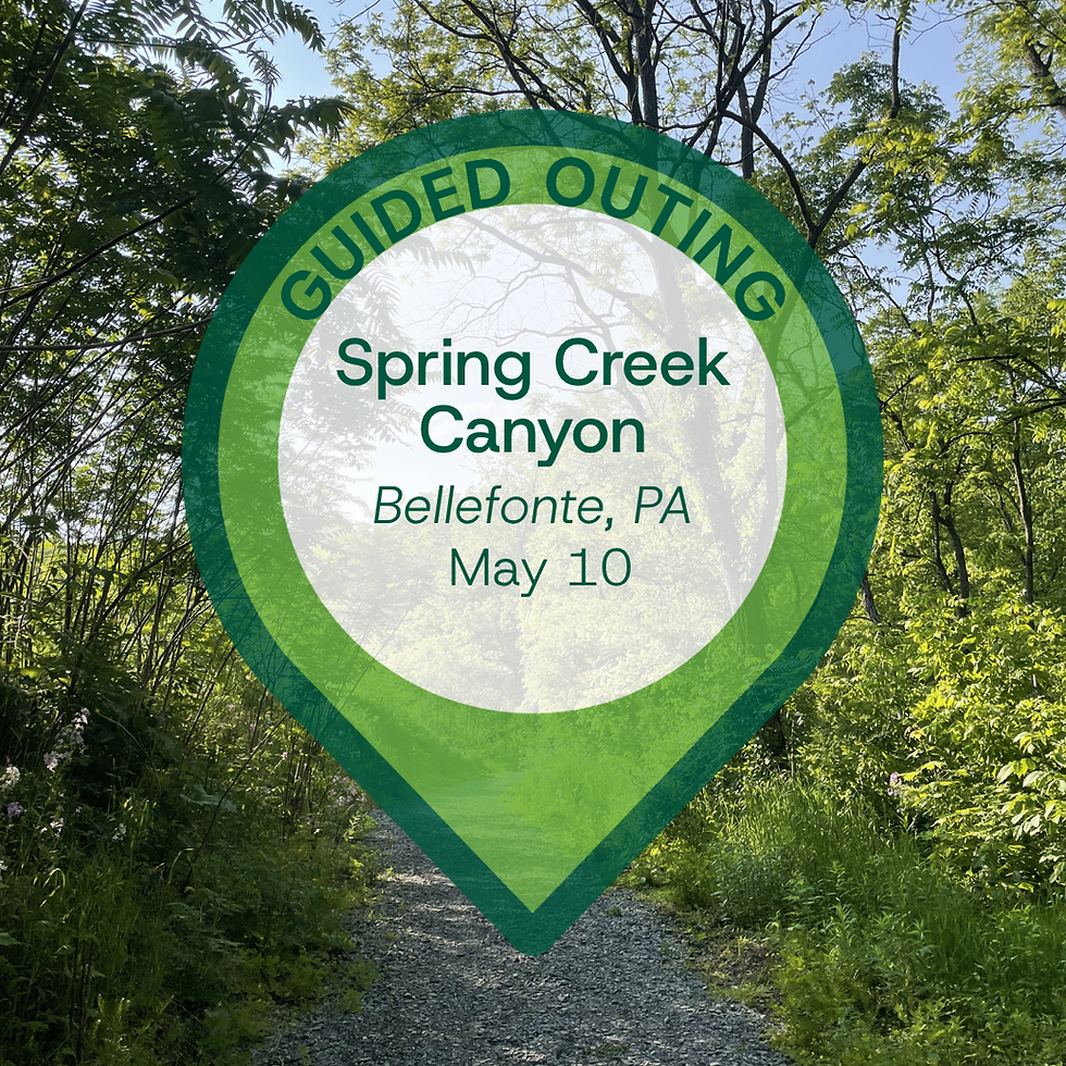Spring Creek Canyon: Guided Outing