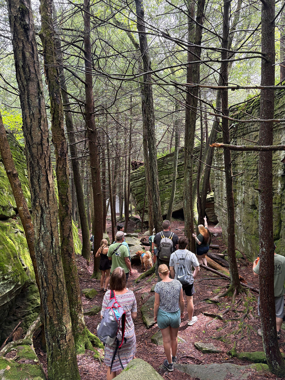 Hikers at Bigler's Rocks guided outing