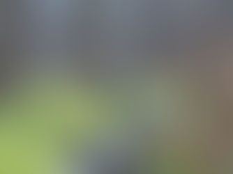 Making a Difference One Cleanup at a Time