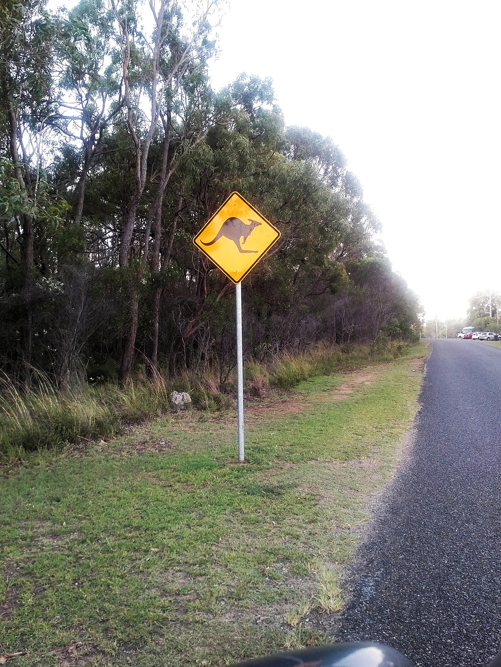 Kangaroo Sign
