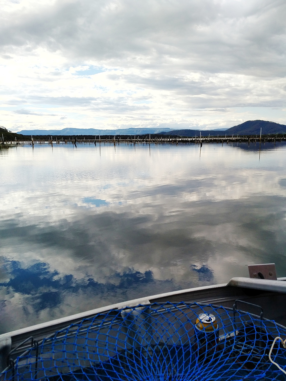 Lake At Greenwell Point