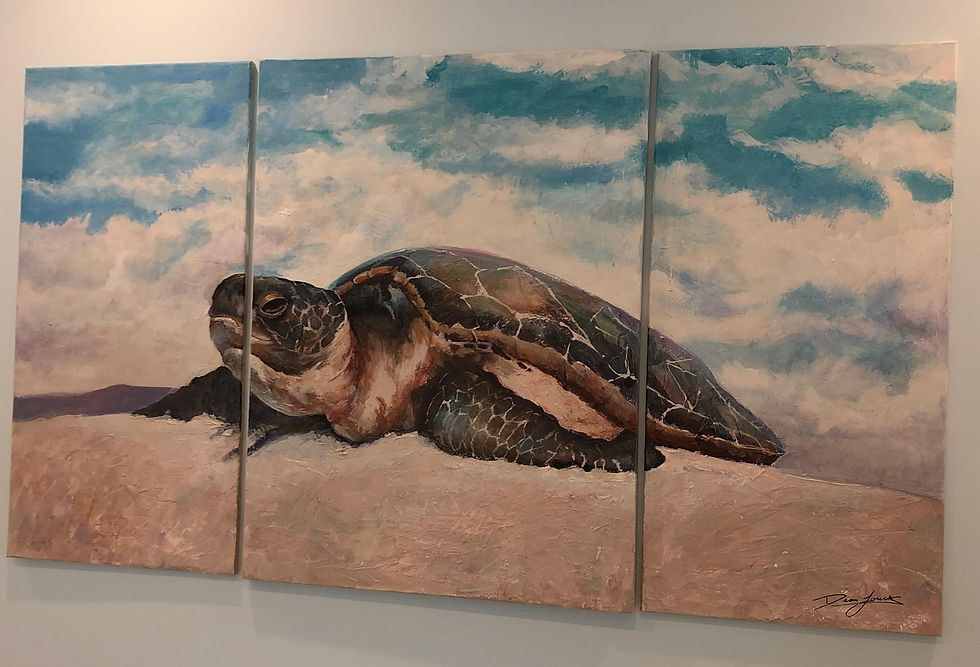 Sea Turtle in Sun