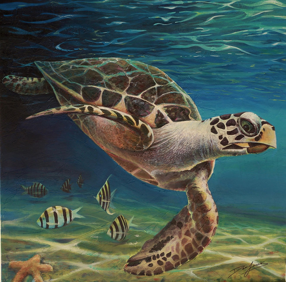 Sea Turtle Deep