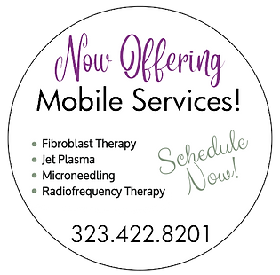 MOBILE SERVICES OFFERED