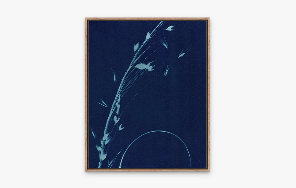 Thumbnail: Fine Art for Wholesale & Commissions