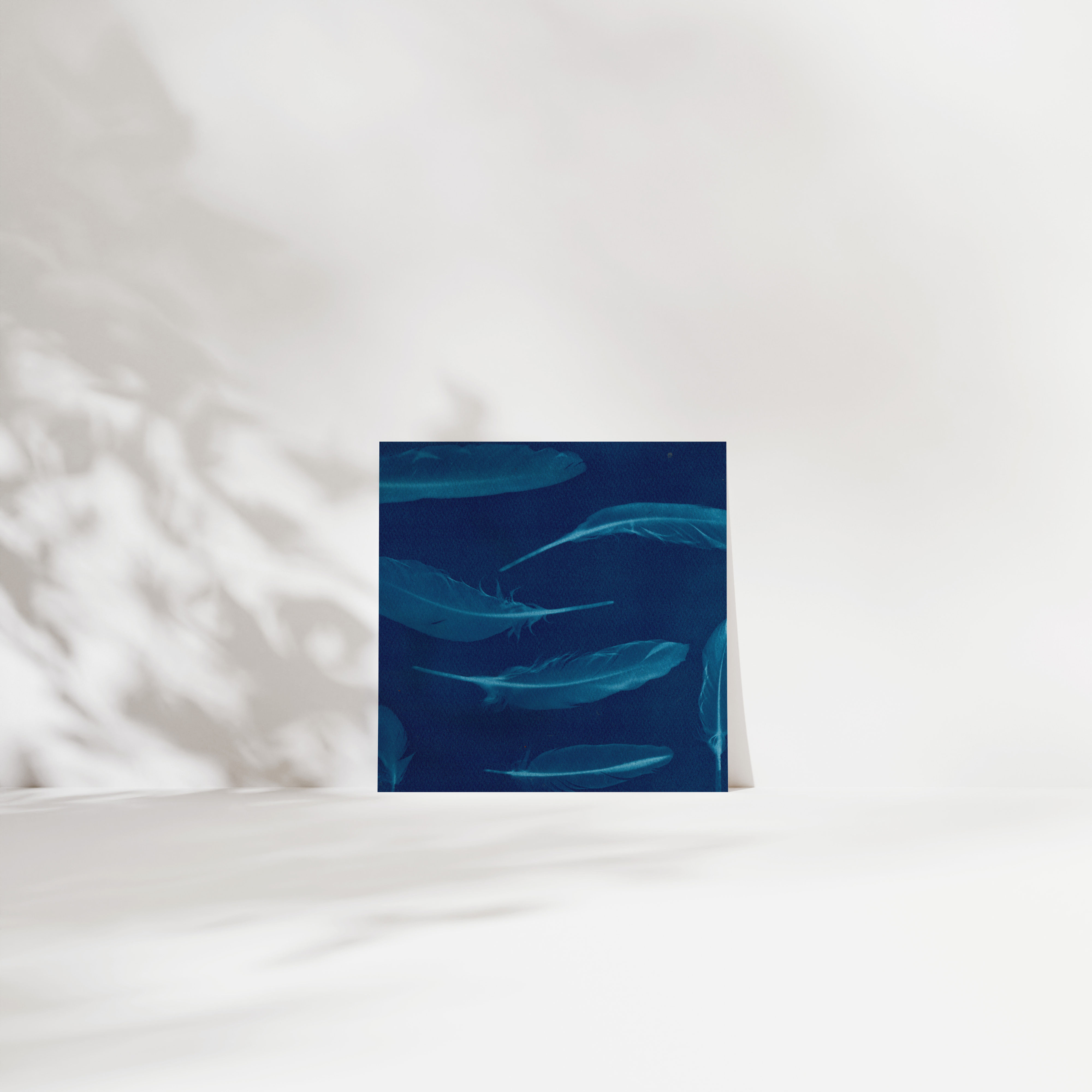 Feather No. 2   •  Greeting Card