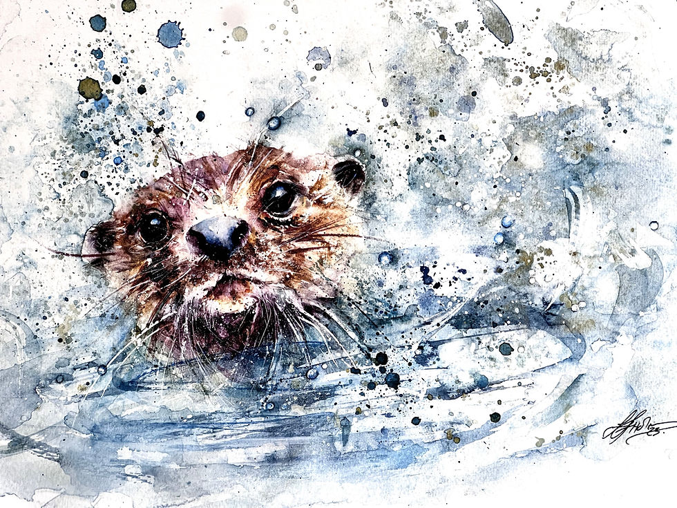 Splash Splash