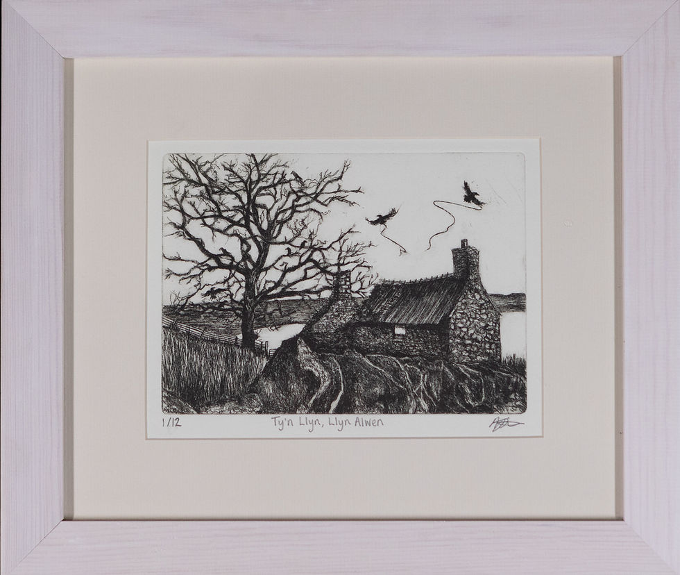 Ty'n Llyn, Llyn Alwen 1/12