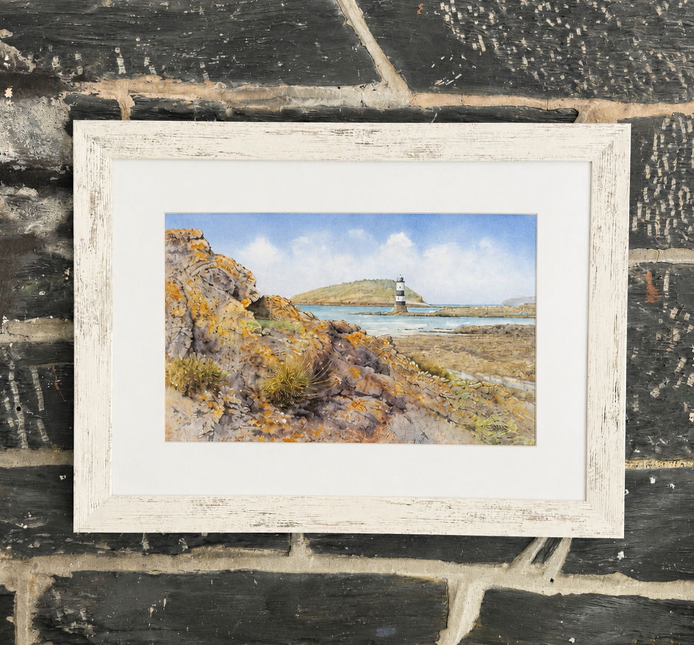 Penmon From The Rocks