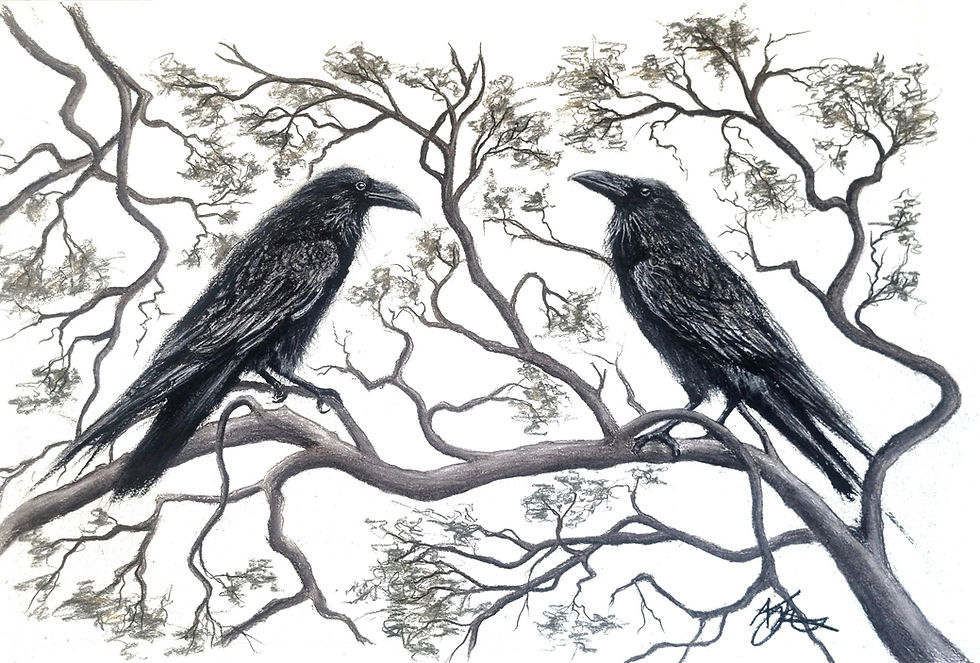 Crows amongst the Branches II