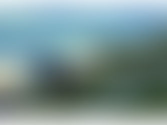 New Linocuts by Ann Lewis!