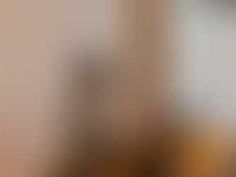 TU-AMA's 5th Annual Regional Conference: The Wall Street Journal with Fara Warner