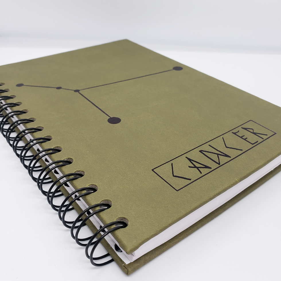 Miniatura: Libreta Cáncer