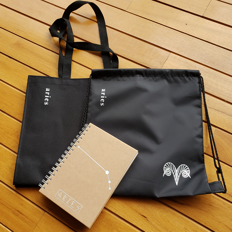 Miniatura: Libreta Aries