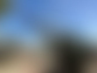 XO from Carefree: Discover the Makers, Merchants & Creative Magic of Carefree