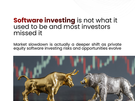 Private equity software investing risks and opportunities