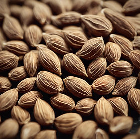 asaliya seeds.jpg