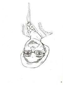 gill dessin.jpeg