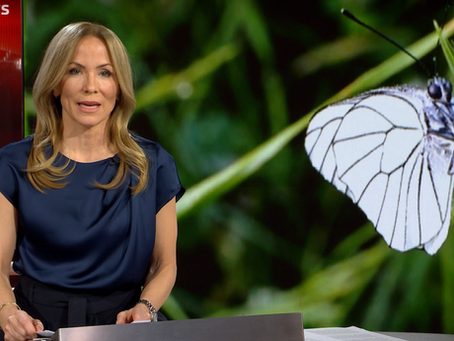 Tagesschaumoderatorin und Schmetterling