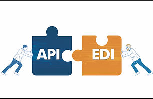 api & edi.jpeg