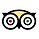 TripAdvisor App Icon